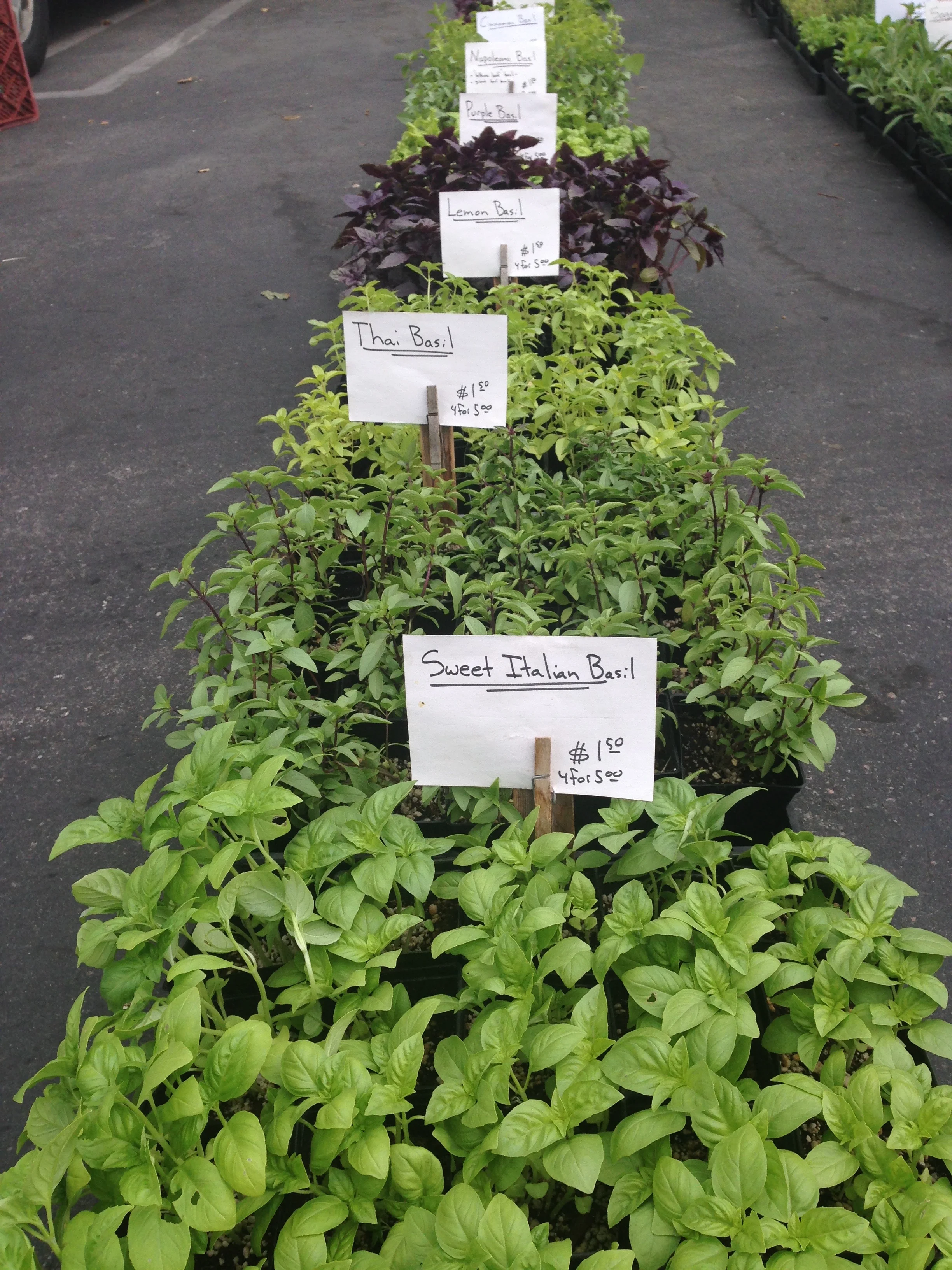 Switch it up by using fresh herbs for salads, soups, and fish or pasta. There's a definate change of flavor if you spice it up with fresh vs. dried spice. I've just started growing my own little herb garden on my patio. It's working out quite well. Try this cure starter kit from Terrain
