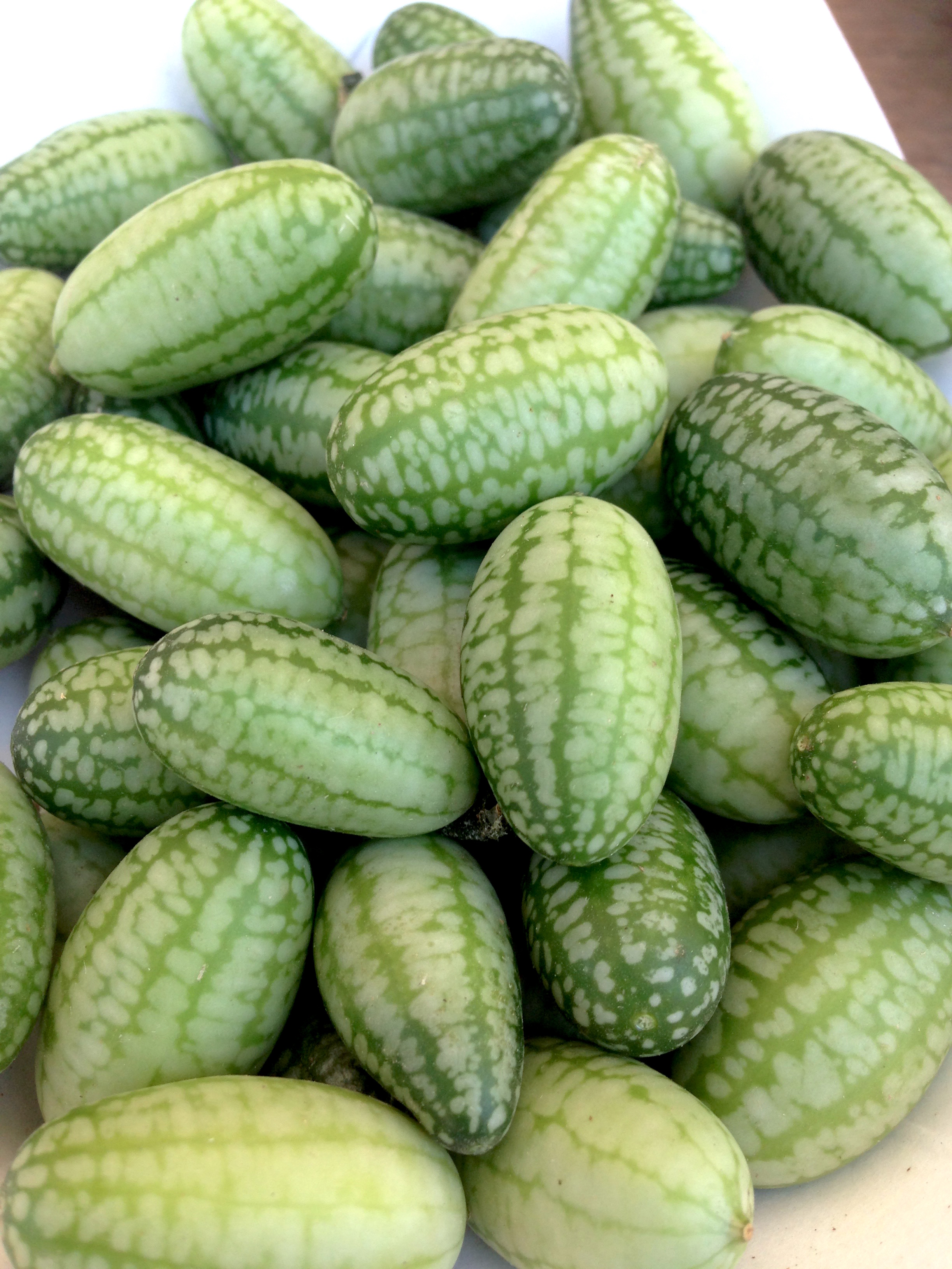 Mini watermelon cucumbers from the delightful and magical Ojai Farmers Market
