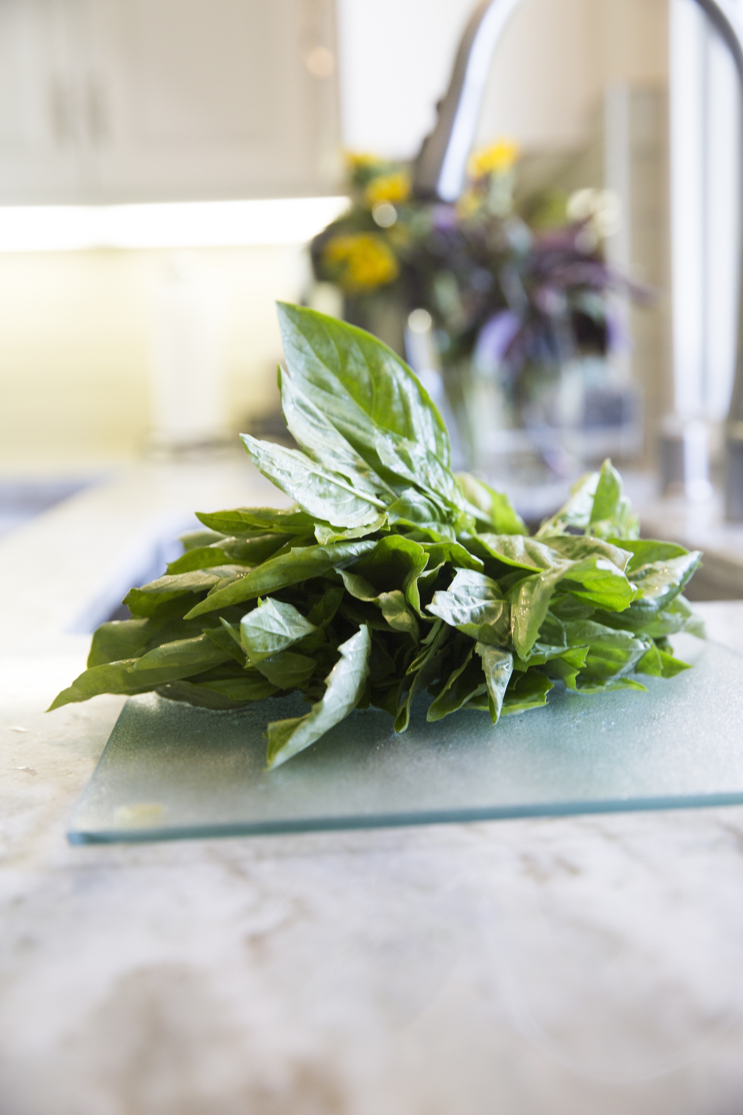 Bouquet of basil from Venice farmers market.