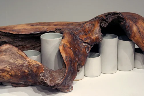 Root (detail)