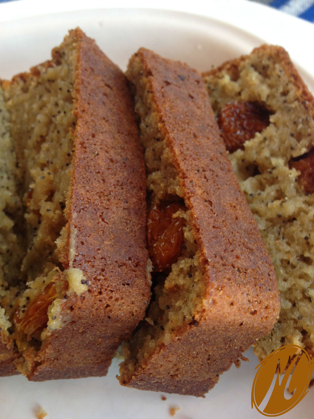 Pan dulce de amaranto — Michelle O. Fried