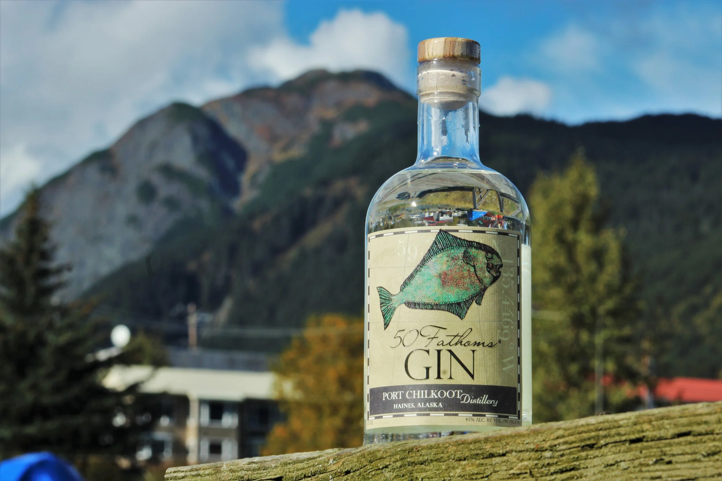 The 10 Best Things To Do in Haines, AK 