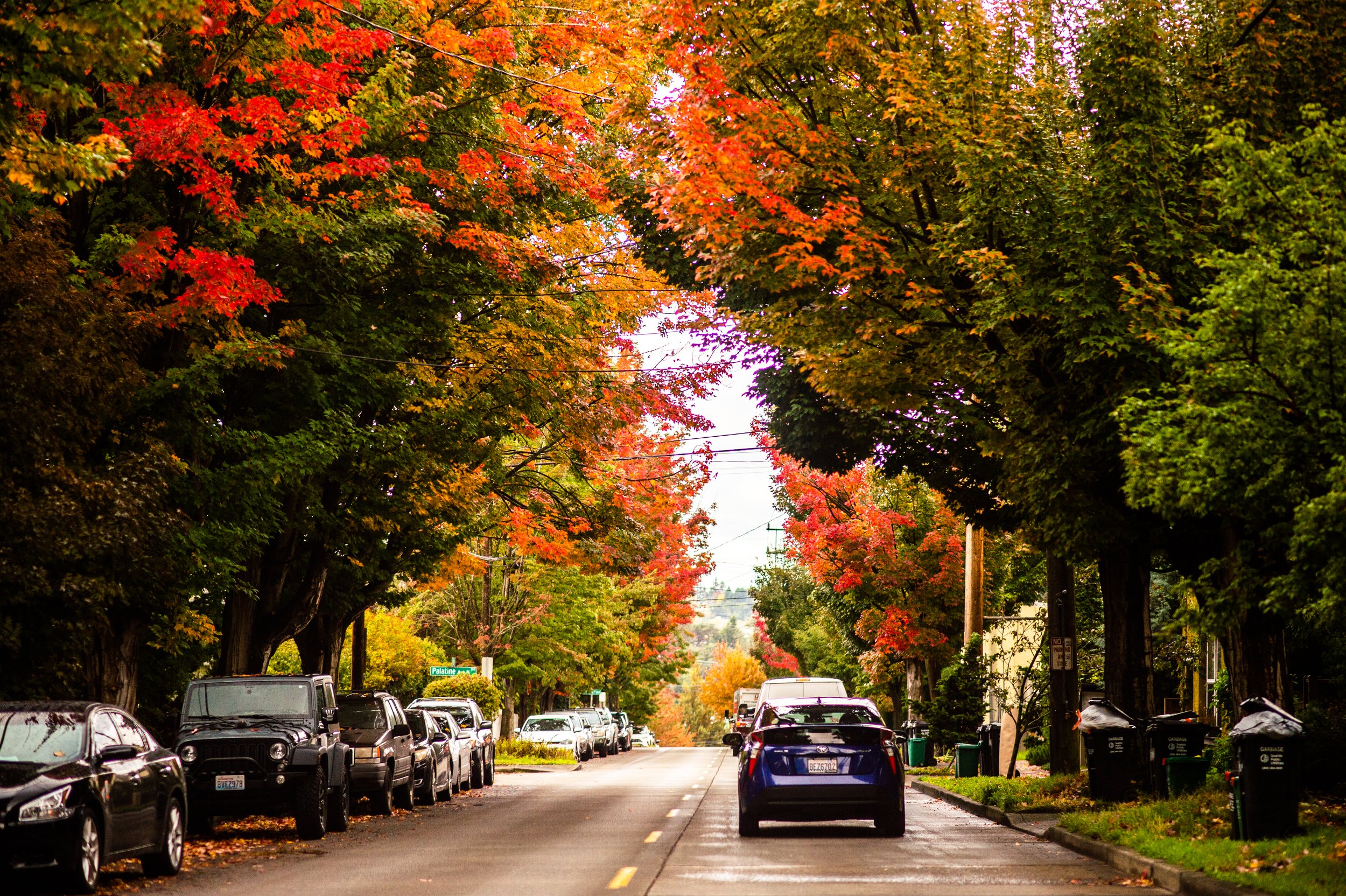 SeattleFremontCommute-1.jpg