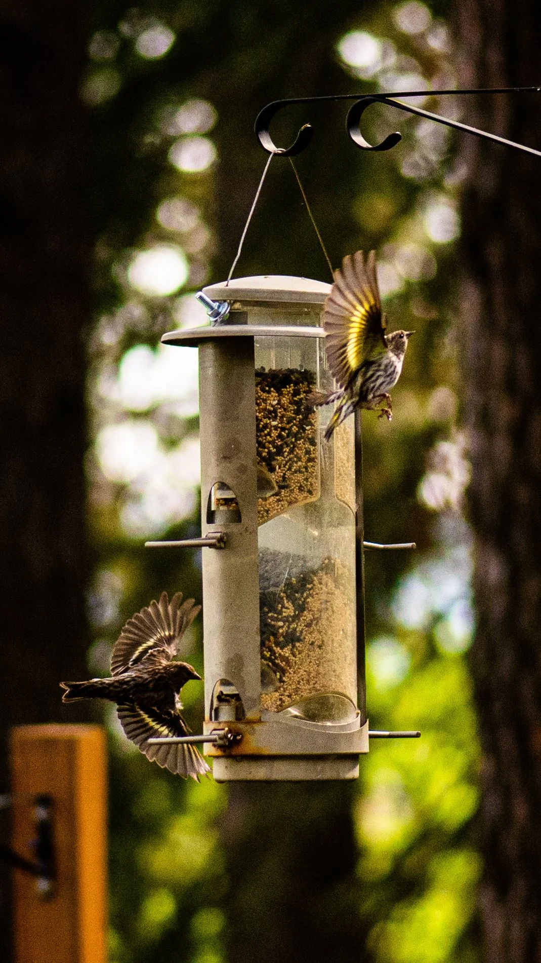 Practicing Patience - Lance Lee