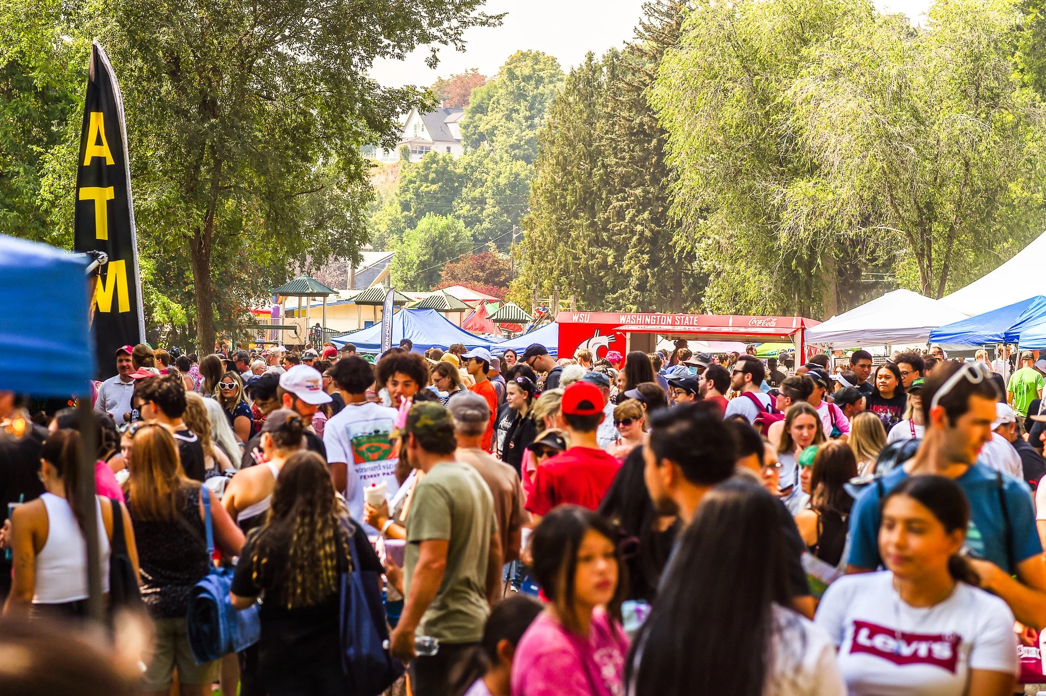LentilFestivalHighlights-03.jpg