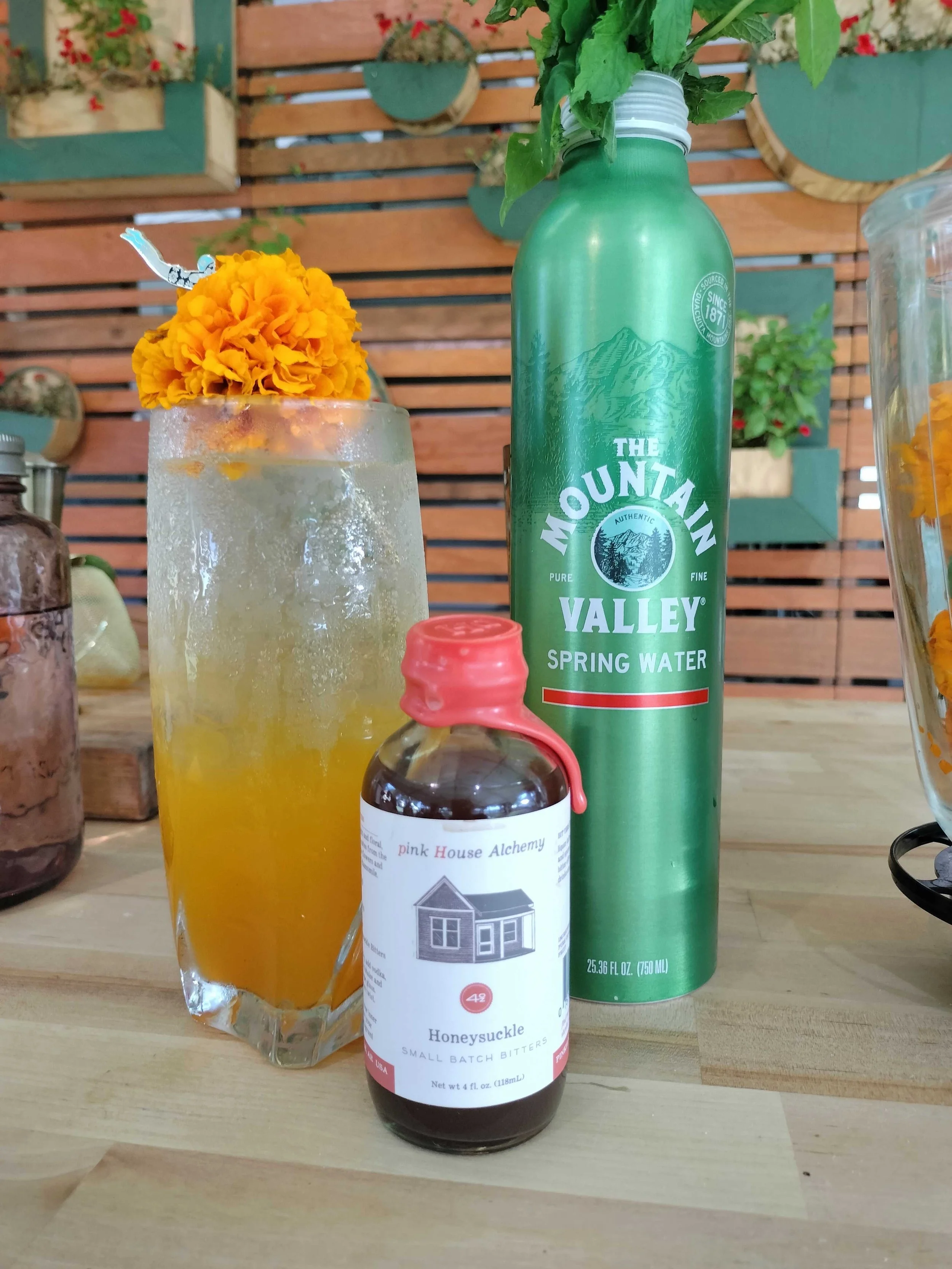 Smithsonian's Annual Folklife Festival and The Ozarks by Morgan Shortt