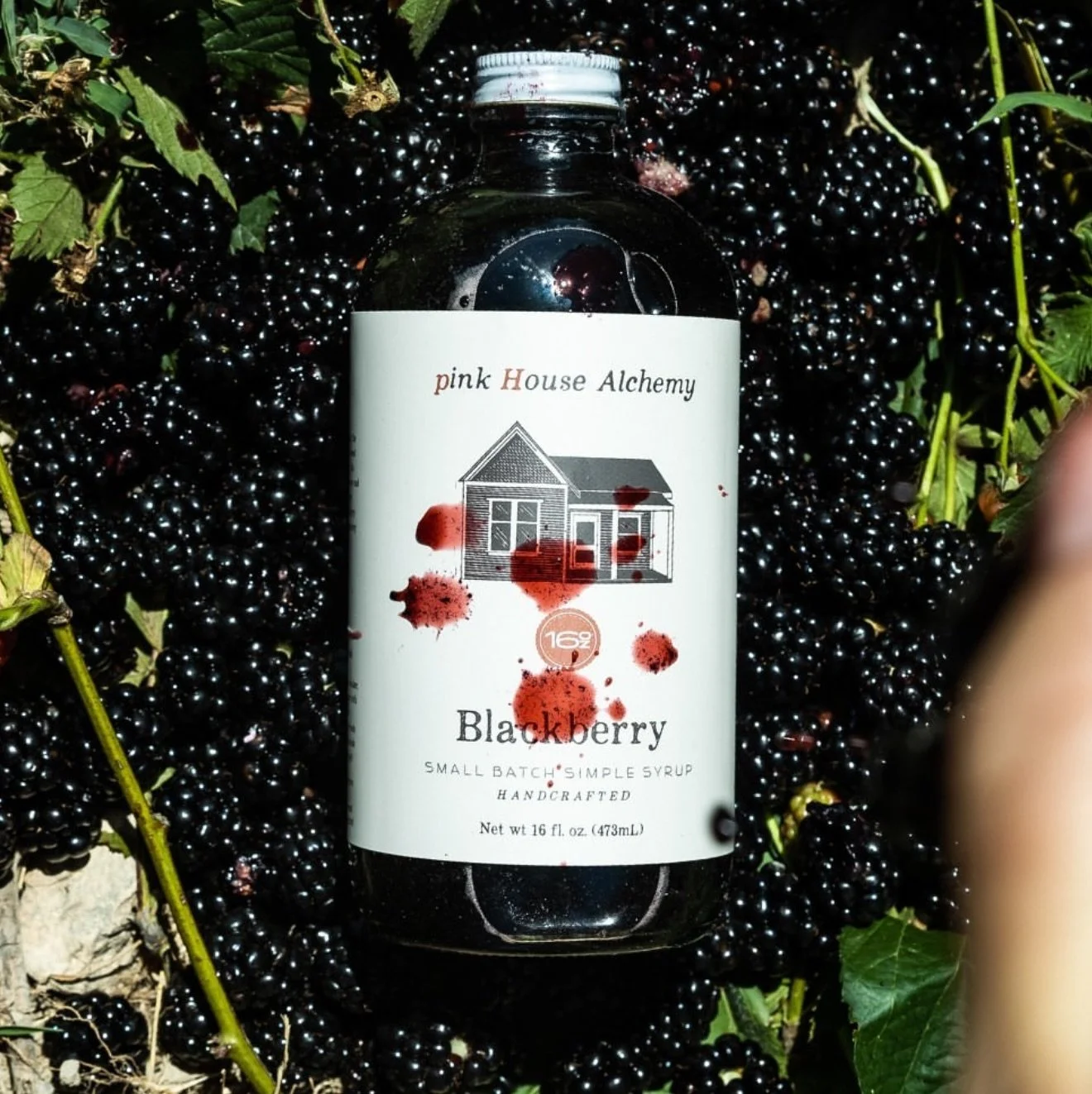 It’s BLACKBERRY SEASON and our famed Blackberry and Blackberry Sage syrups are upon us. 
We have a LIMITED RUN of inventory so get it while it’s hot (link in bio) on our website.
ONLINE CUSTOMERS:
Hit the link in bio to purchase directl