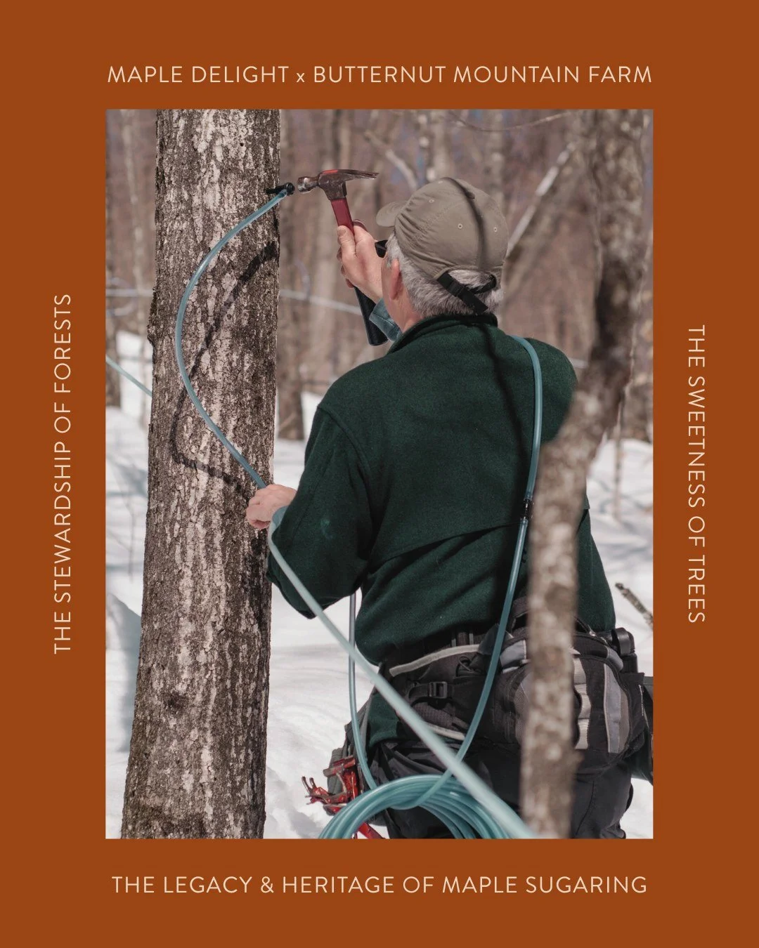 AVAILABLE NOW 🍁MAPLE DELIGHT
The sweetness of maple trees- tapped with tradition, stewardship, & community by Butternut Mountain Farms- makes a showstopping appearance in every bottle of our brand new Maple Delight syrup. 
In our neck of the wo