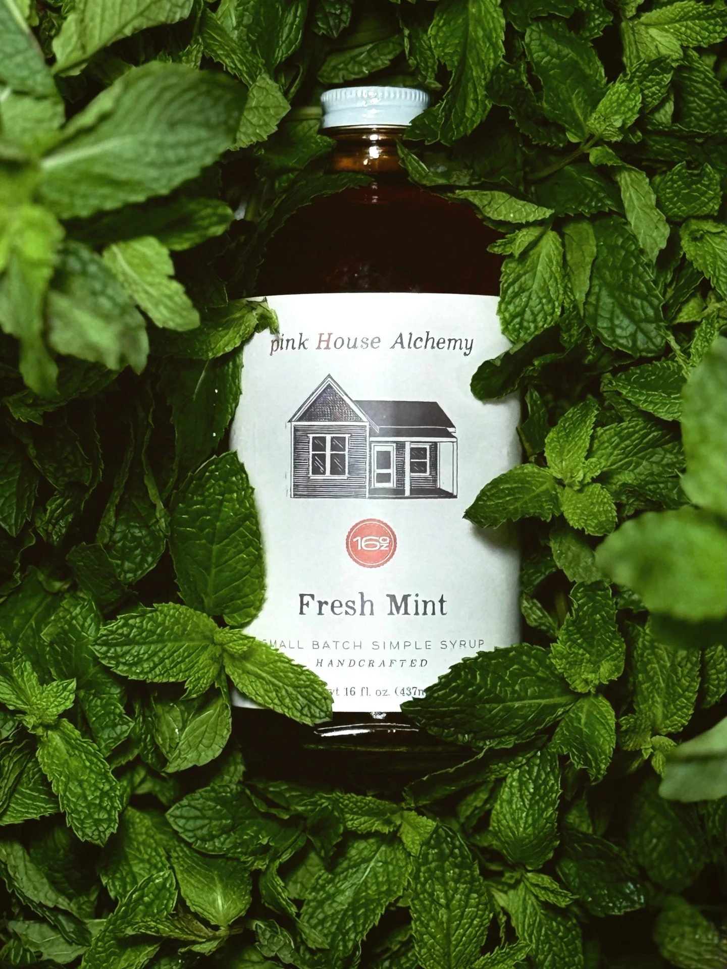 Reintroducing, Fresh Mint FKA Winter Mint. 
You have questions? Here&rsquo;s some answers!

Q: &ldquo;I&rsquo;m obsessed with Winter Mint, is this the same syrup?&rdquo;
A: Yes! Everything is the same except the name! Organic cane sugar, spearmint, p