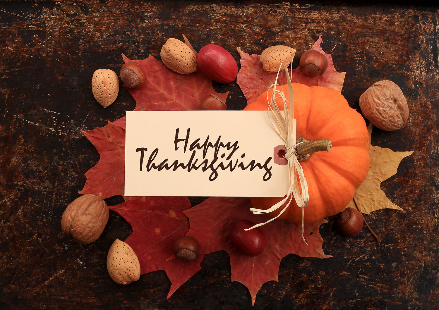 Thanksgiving Holiday Schedule
