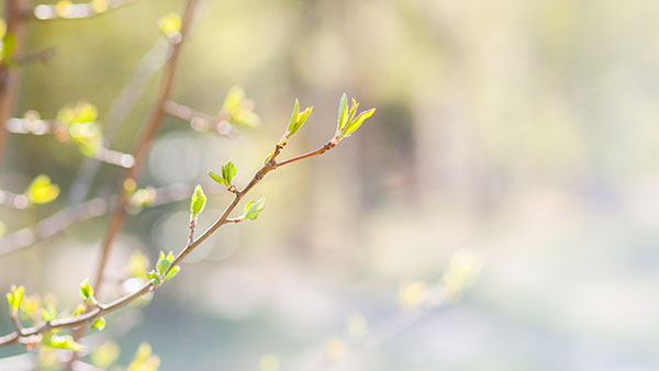 5 Tips for Losing Winter Weight