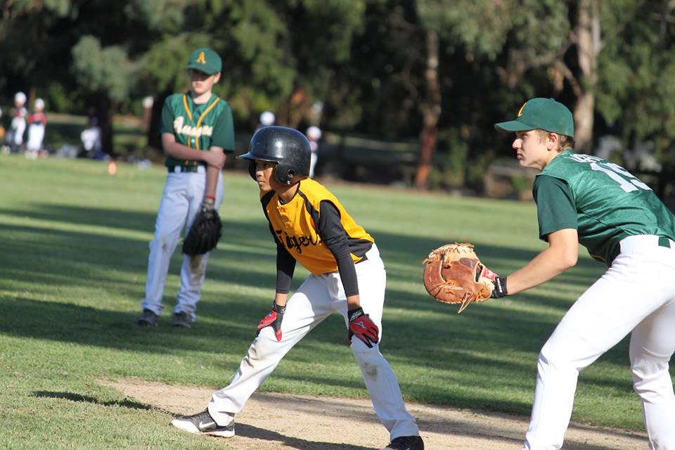 How to choose the best youth baseball league for YOUR kid
