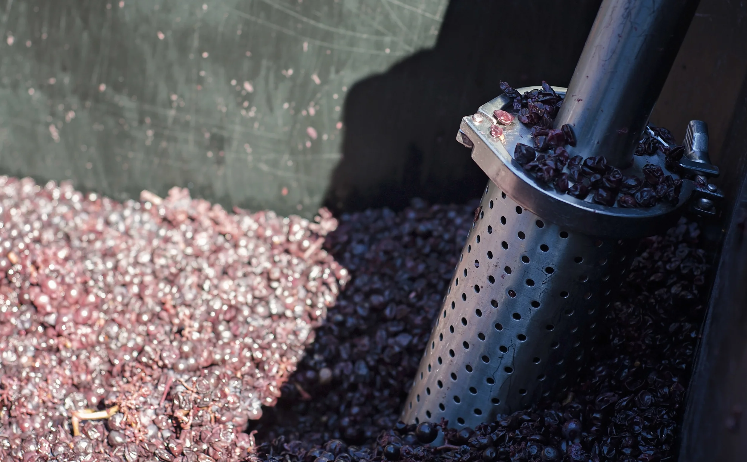 Nathan K. Finger Lakes Wines