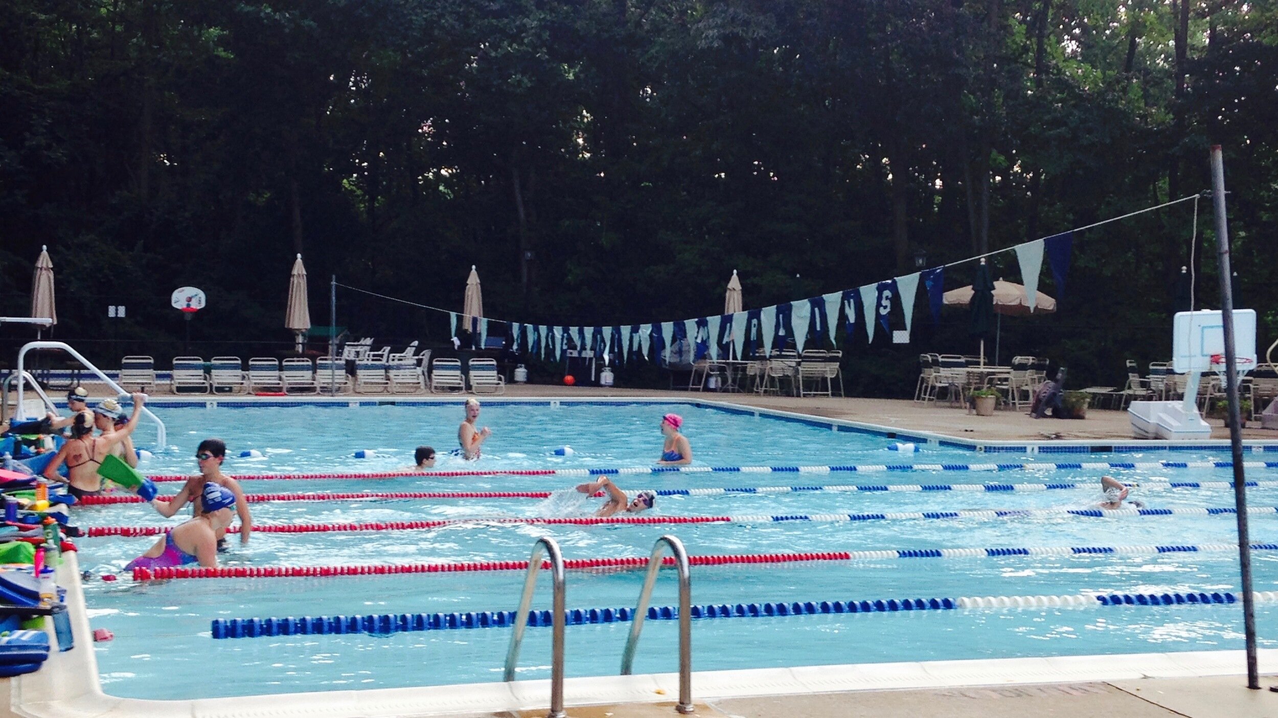 lakeview marlins.jpeg