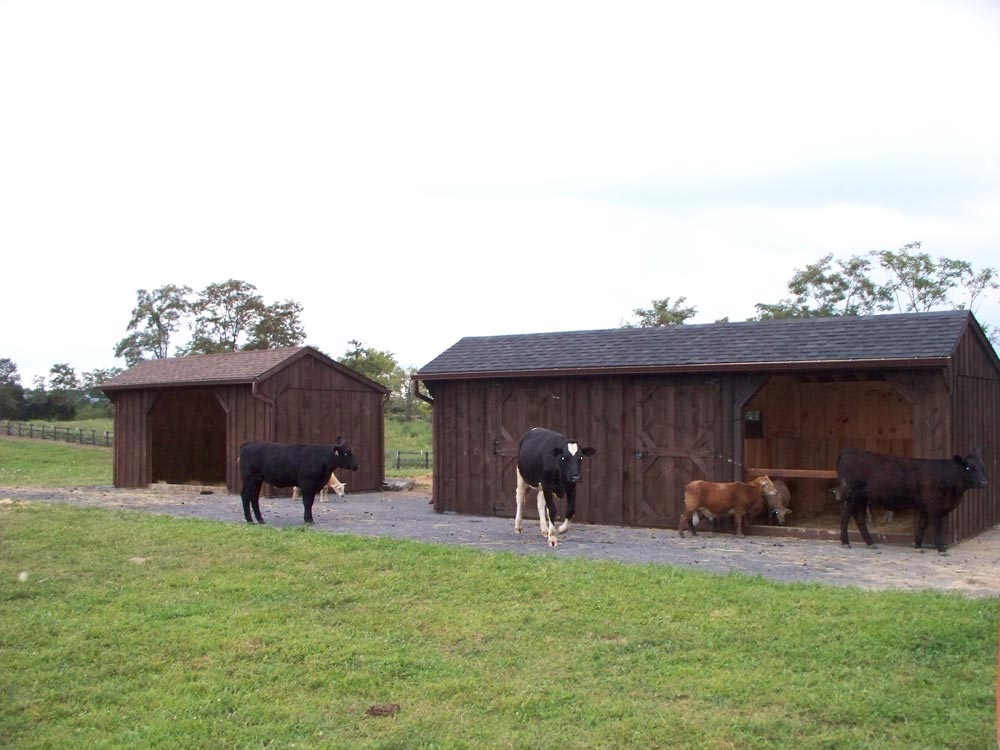 amish built barn