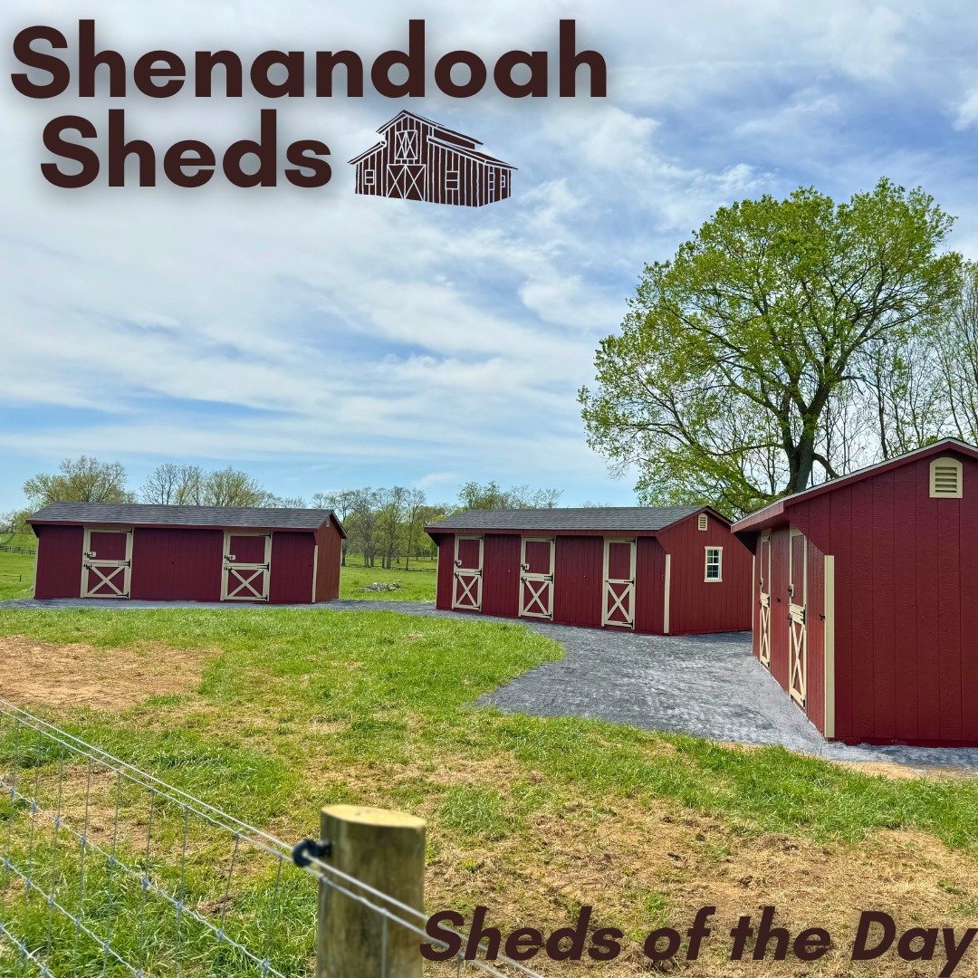 Sheds of the Day!

Today, we feature a trio of row barns delivered to Clifton Farm in Berryville for their horses.  They measure 10x24, 10x26, and 10x30.  They all feature metal barns between stalls, Dutch doors, 4-foot oak kickboards, 50-year T1-11 