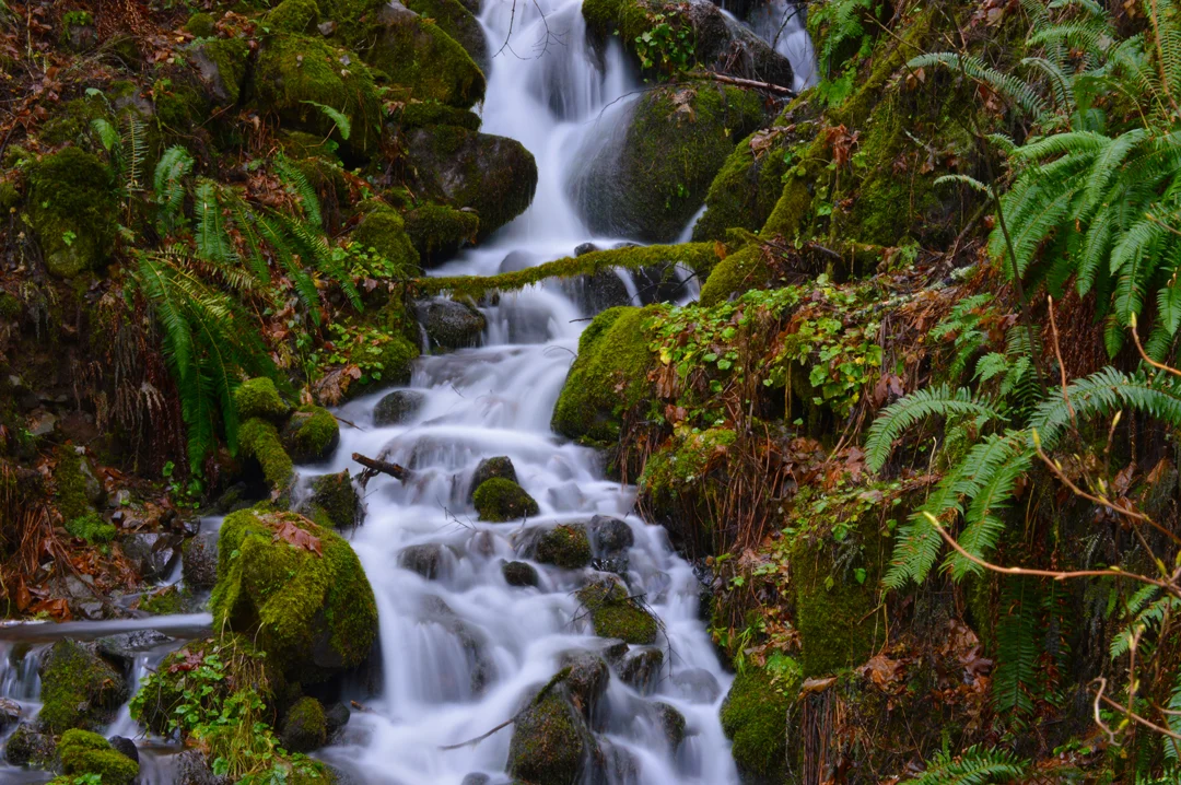 Waterfall3-web.jpg