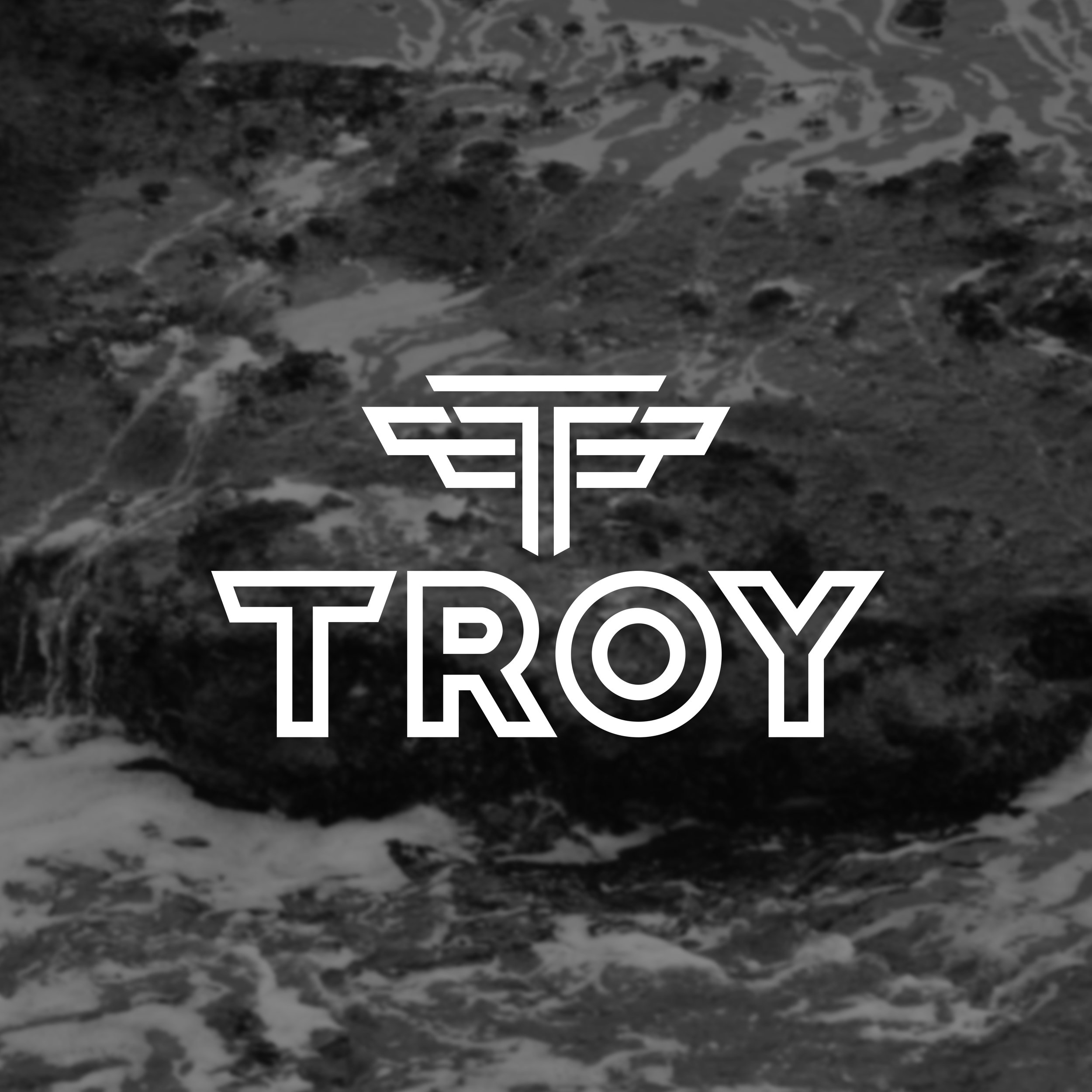 TROY-Logo.jpg