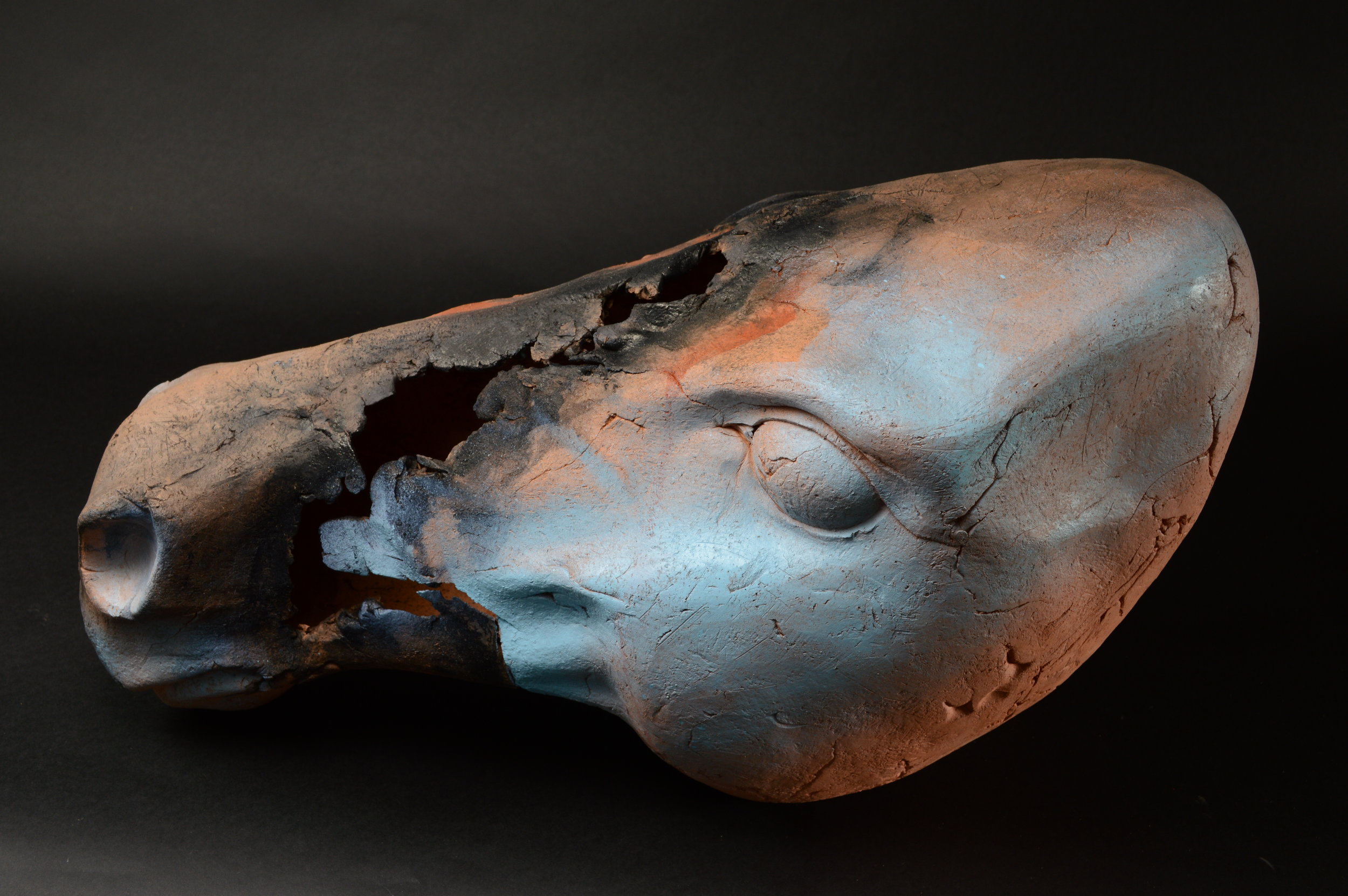  Horse Head 7. L: 21” Terra Cotta, Paint . 
