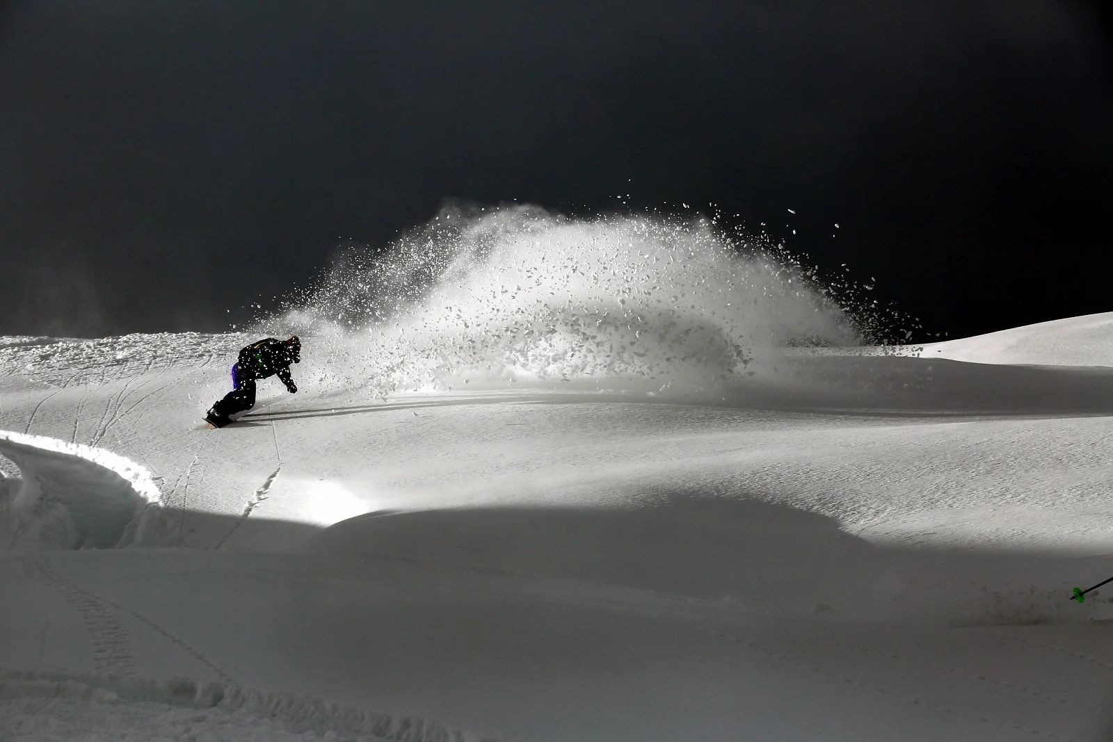 Leanne milking the March Pow. Photo: Kent Vertrees