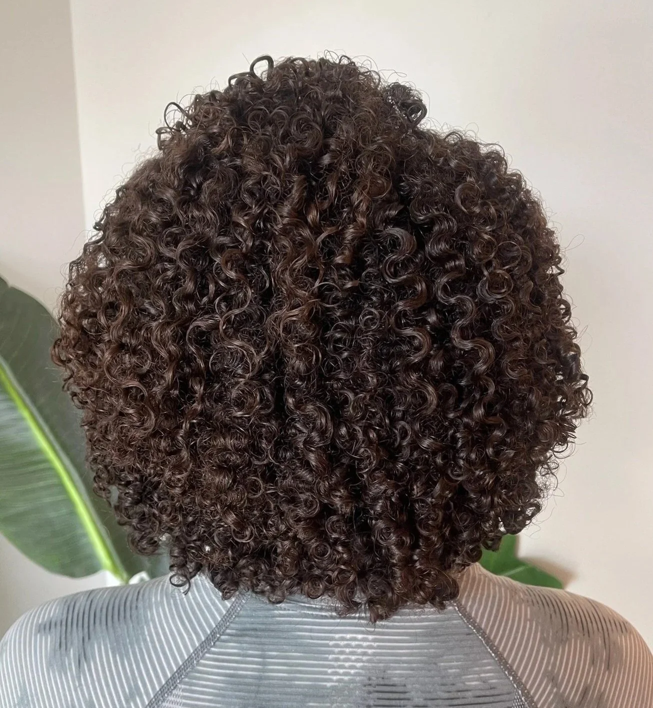 After photo of a client with curly hair showcasing the results of a Siren Curl Session with defined, healthy curls.