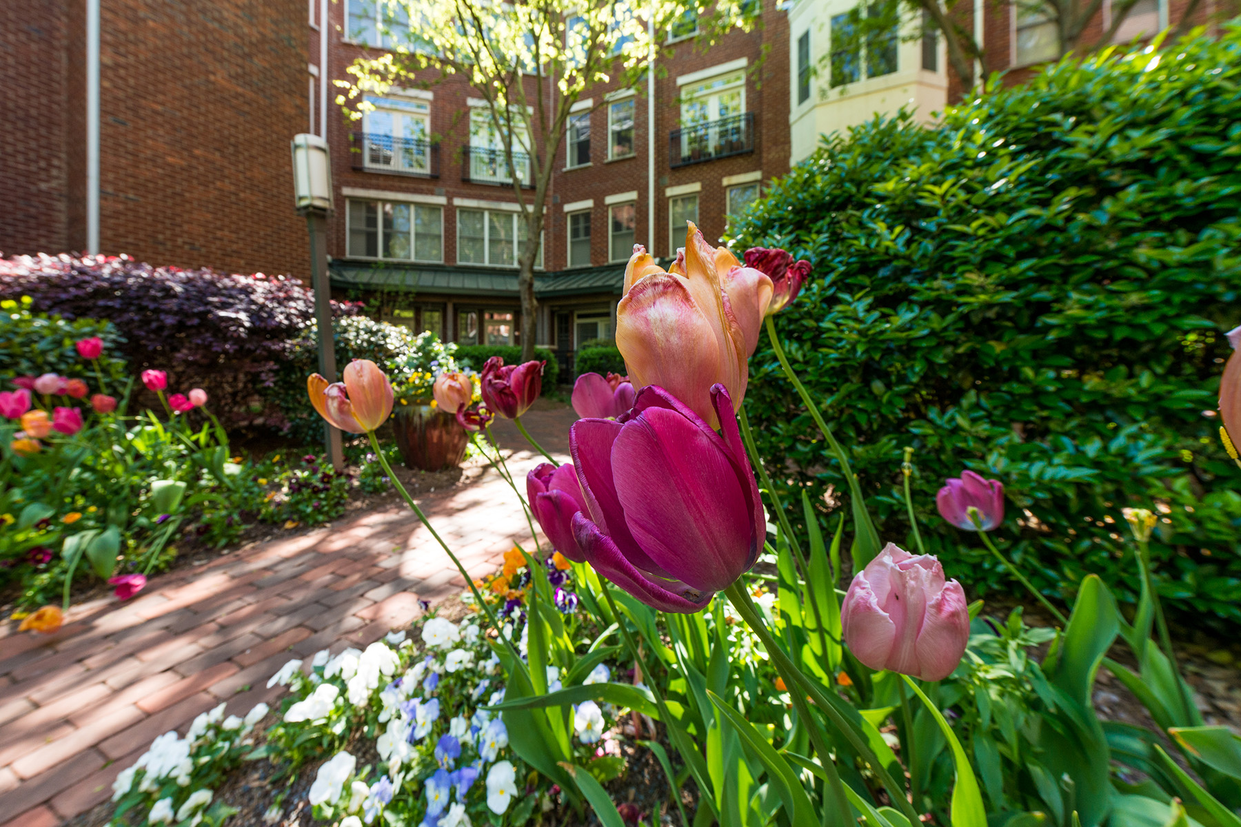 05___850_Piedmont_Ave_3108.jpg