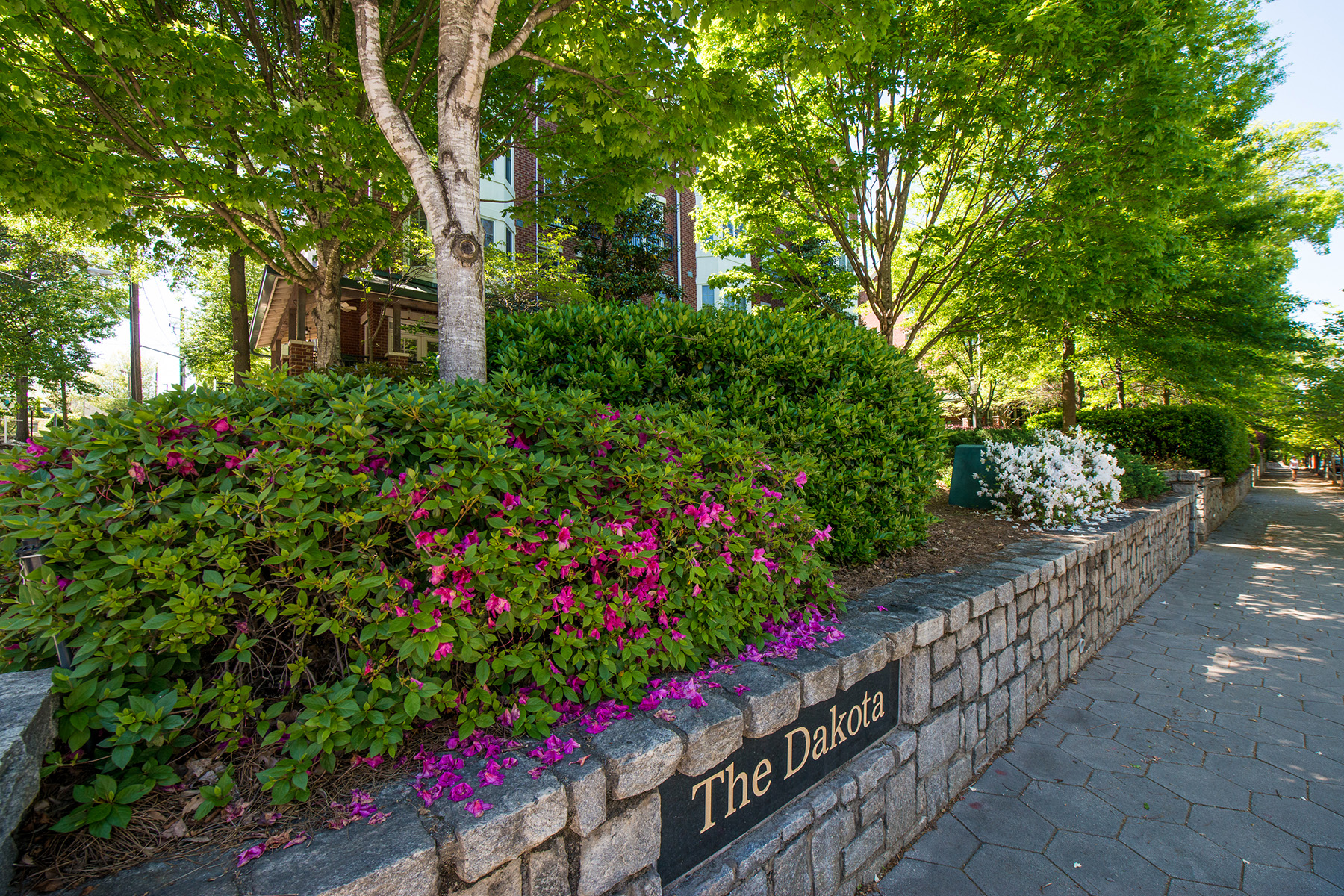 50___850_Piedmont_Ave_3108.jpg