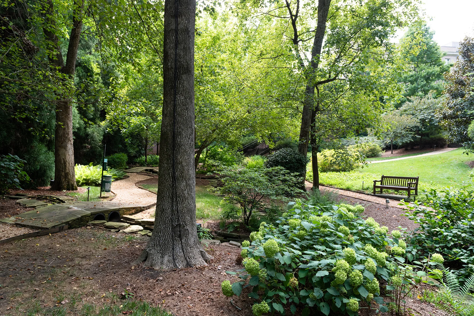 49___2440_Peachtree_Rd_NW_20.jpg