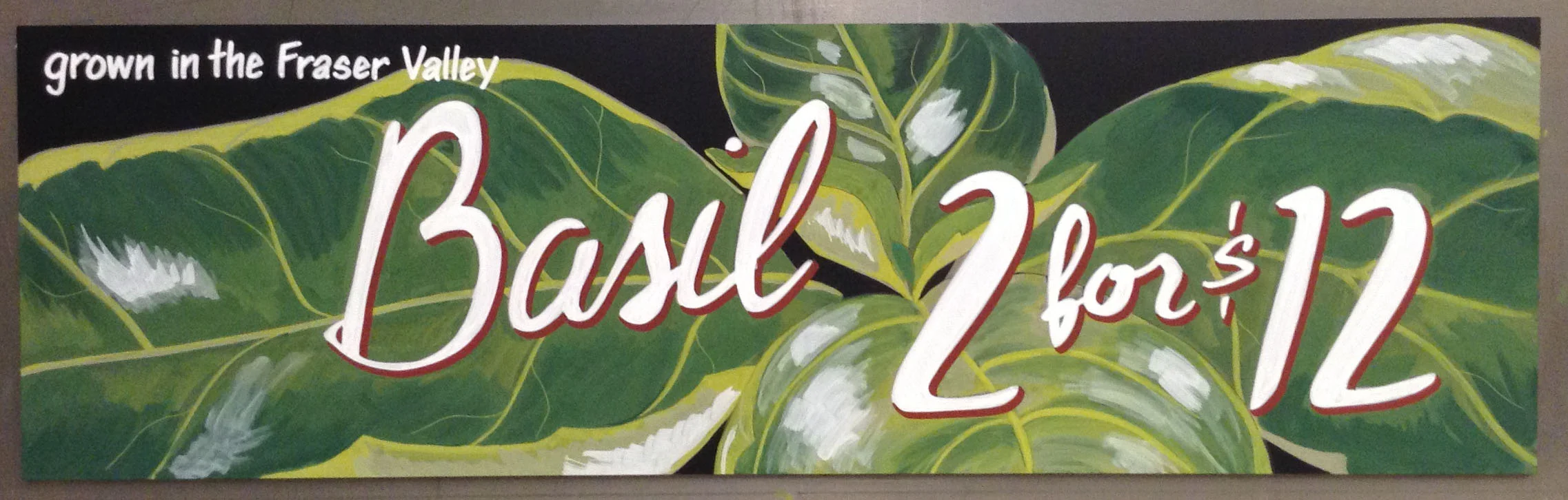 Basil.jpg