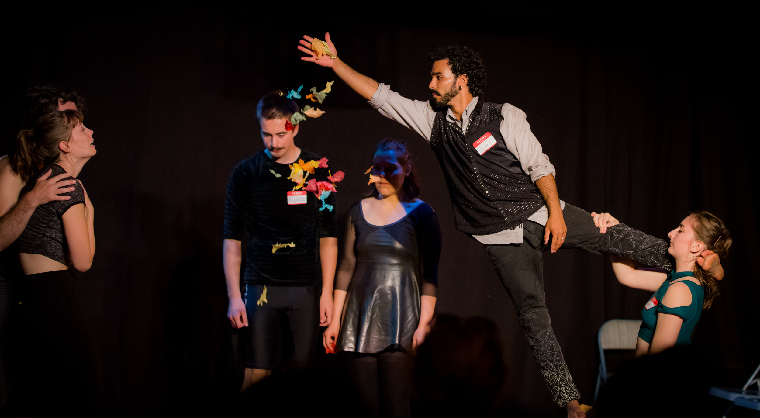 Murmurations, Semi-Circus