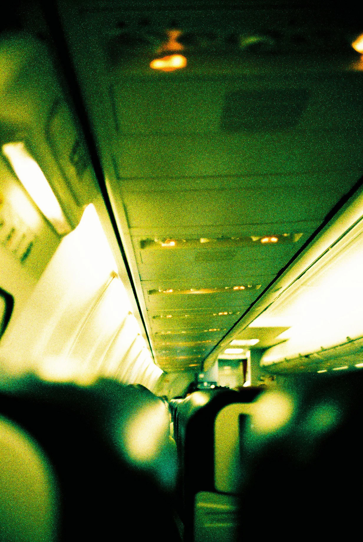 F1010026.JPG