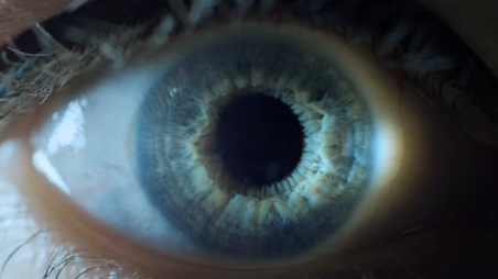 OtherLife Trailer