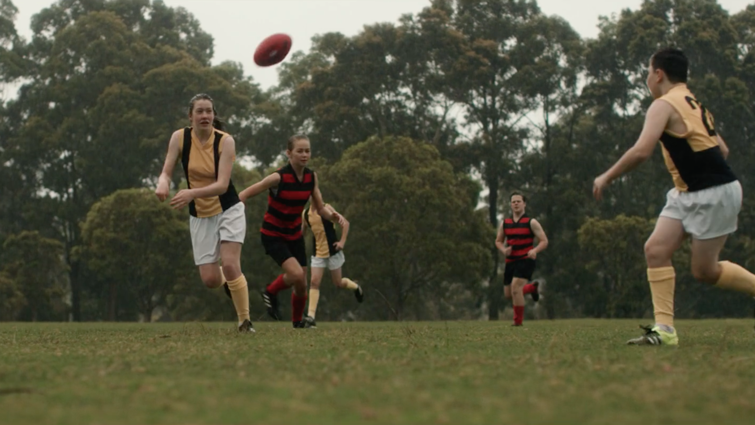 Screen Shot 2024-08-26 at 4.13.43 pm.png