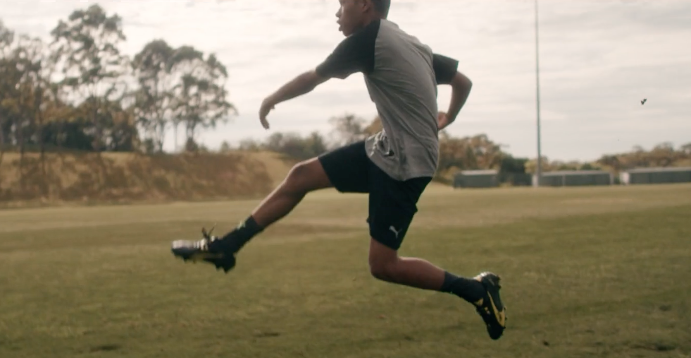 Screen Shot 2024-08-26 at 4.13.09 pm.png