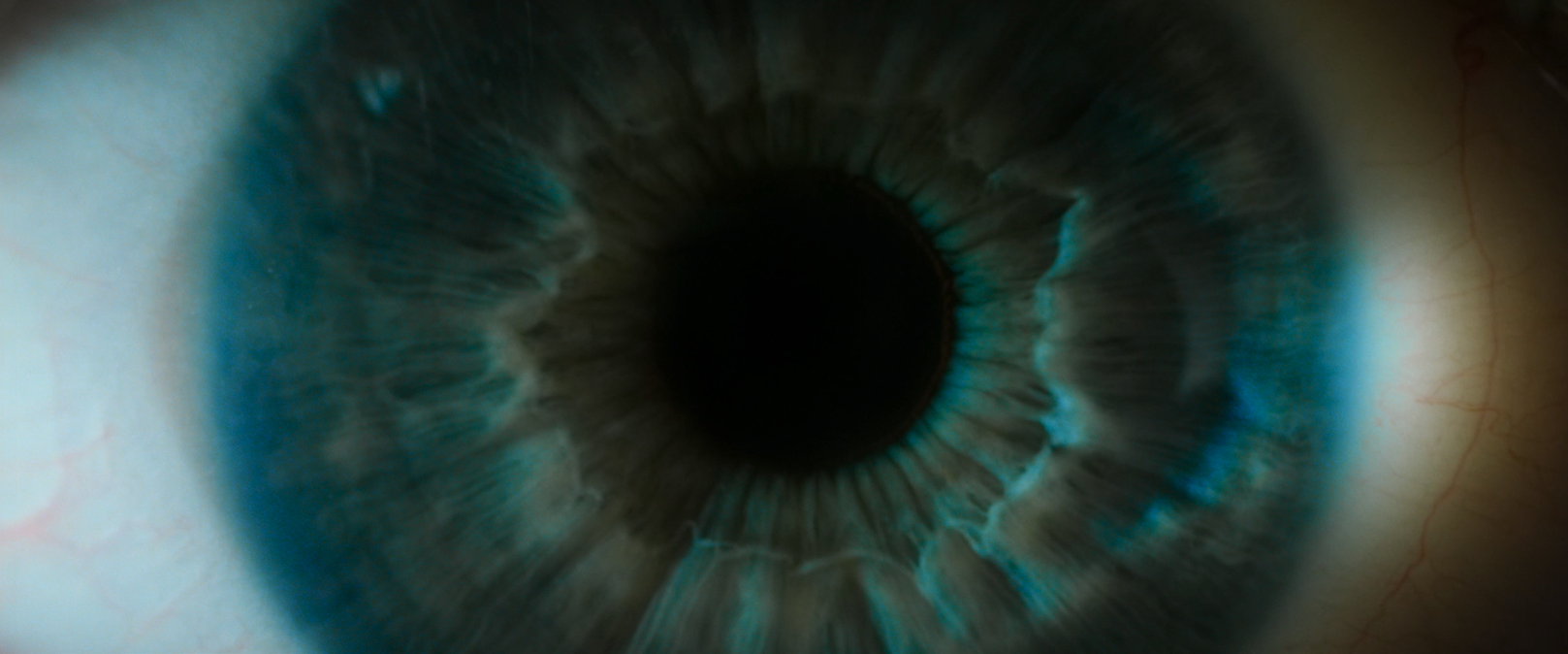 Screenshot 2026-02-27 at 9.50.07 am.png