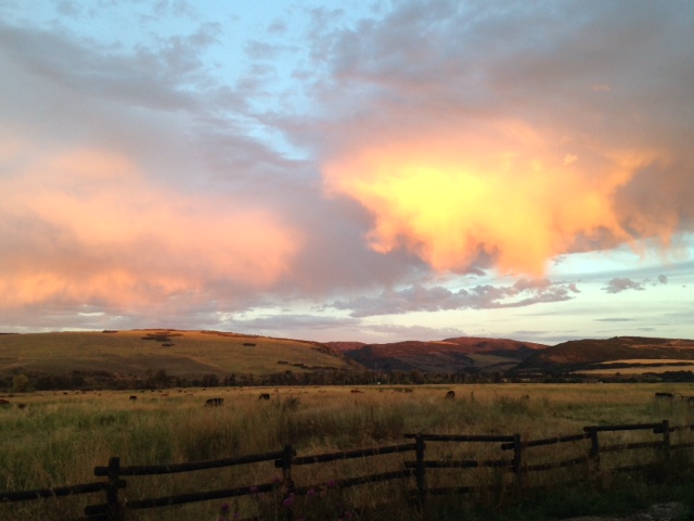 I fell in love with quality of light and sunsets on the mesa.