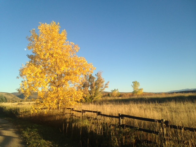 Near the ranch...