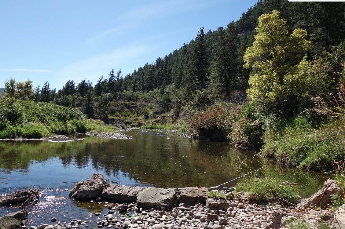More Yampa...