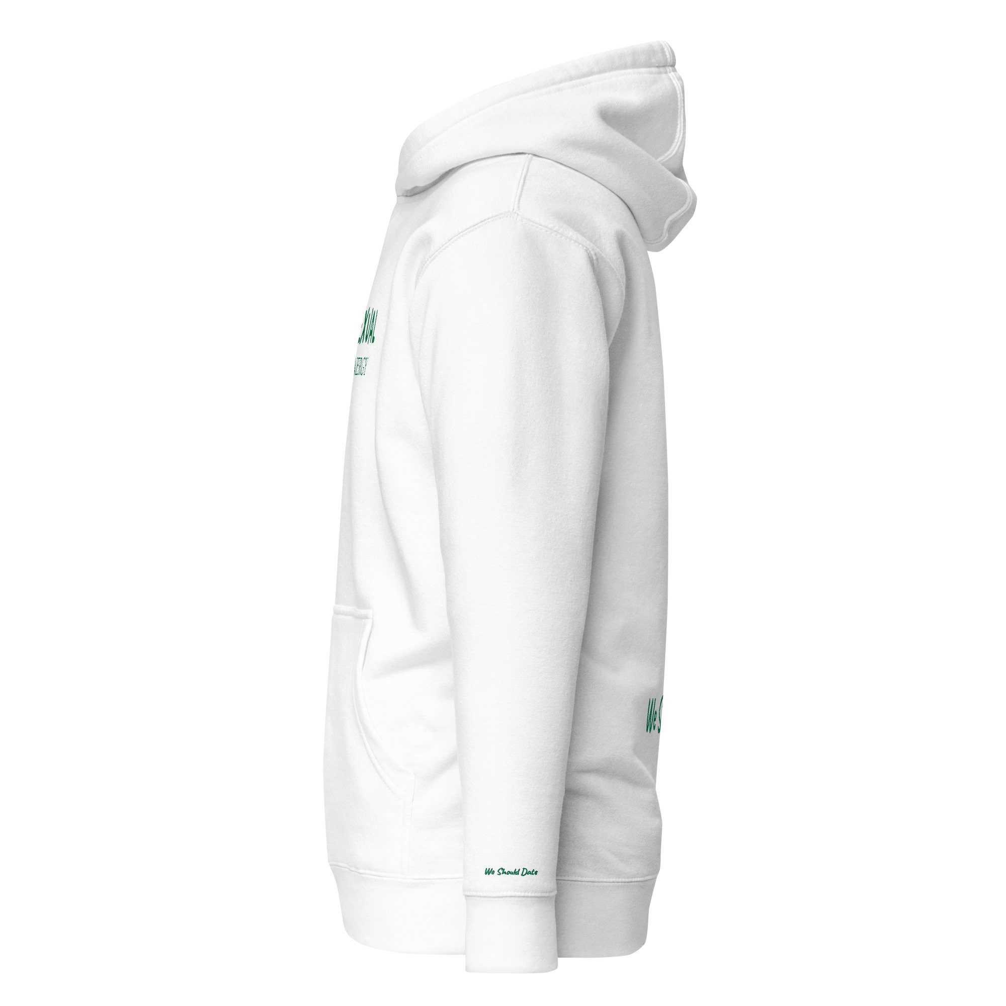 unisex-premium-pullover-hoodie-white-left-6aaa4decd8179.jpg