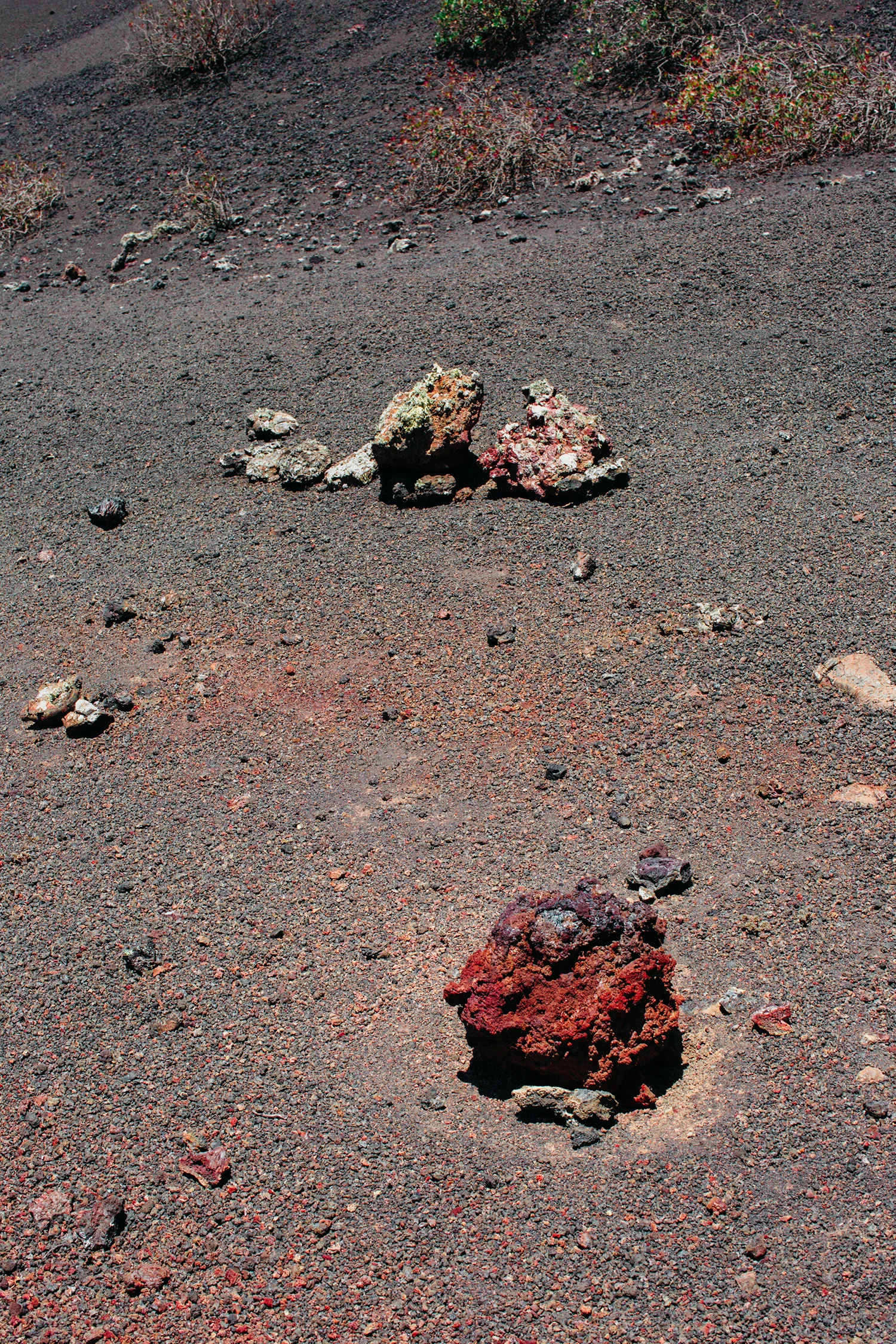 chiara-zonca-magma21.jpg