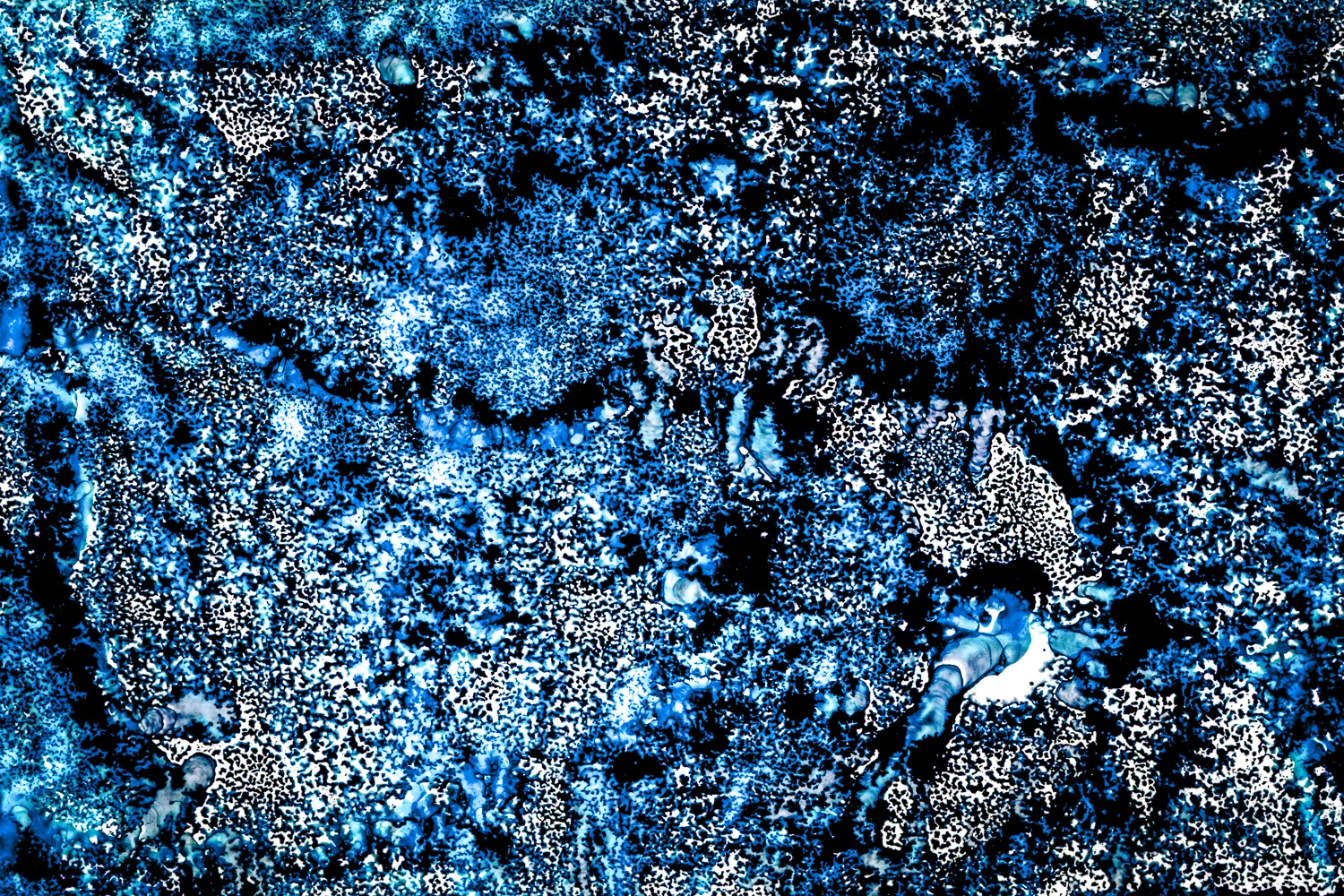Mariëlle_Gebben_Rabbit 1_7_OCEANS OF SPINAL FLUID.jpg
