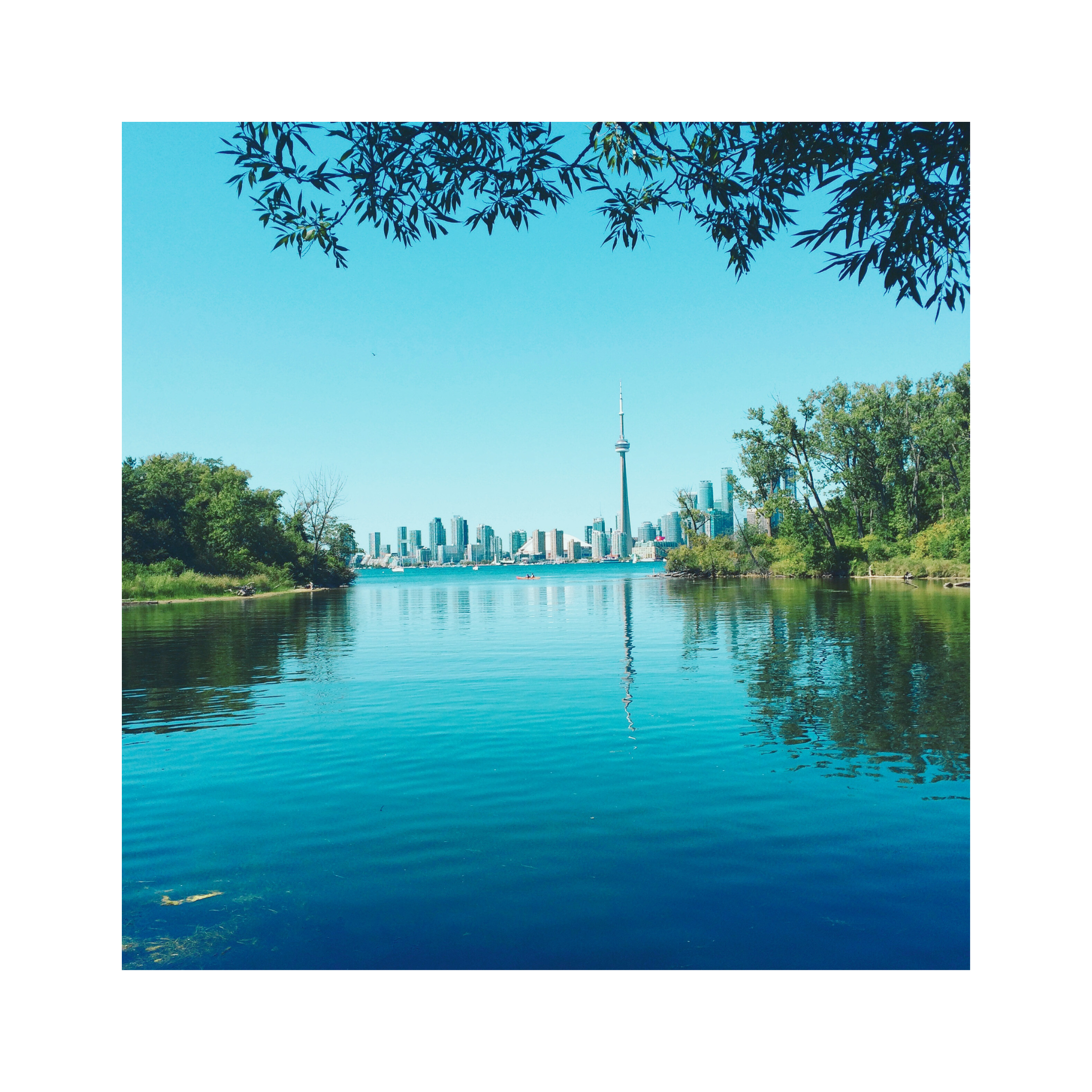 Blog Post: Quirky Cover Letters