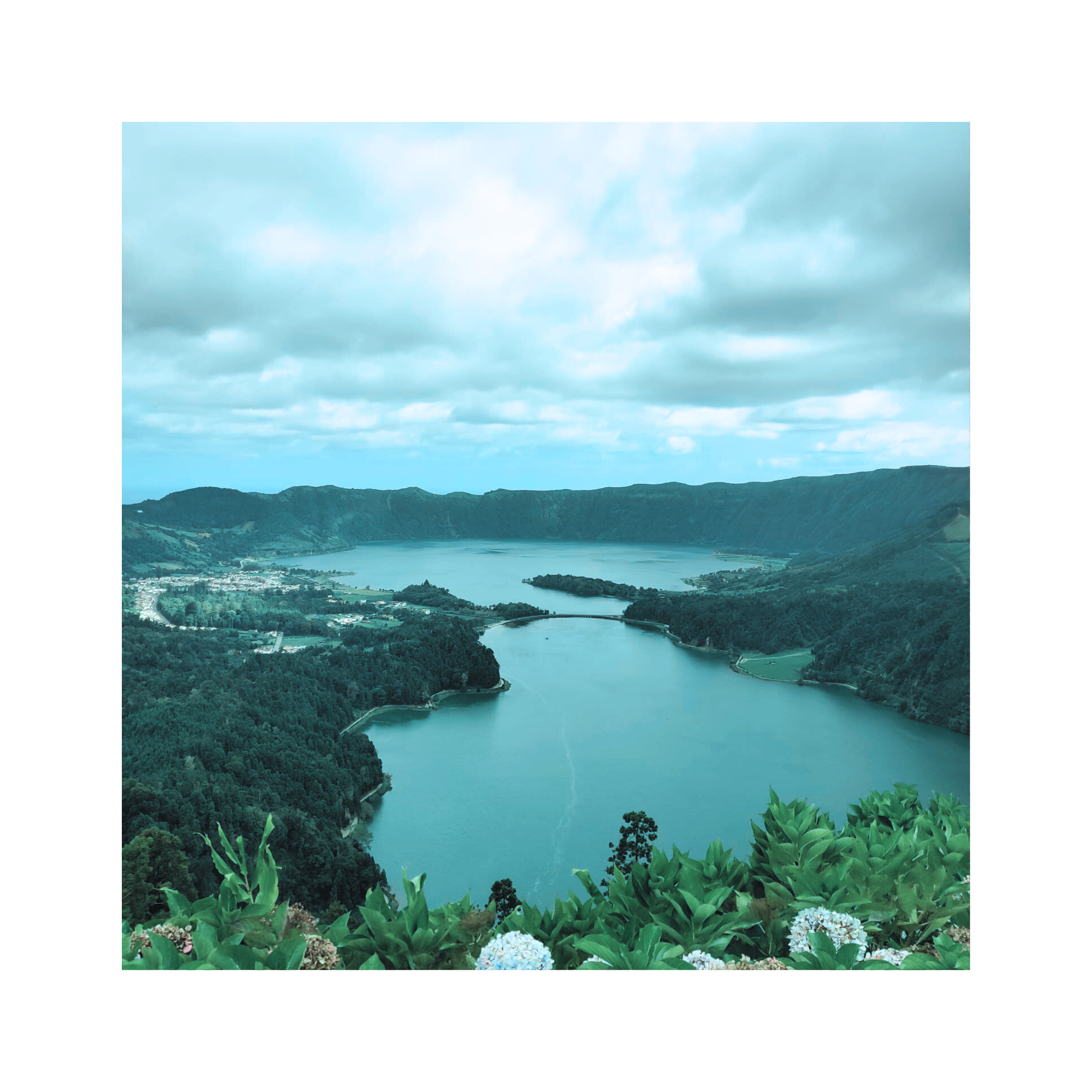 Novel excerpt: The Almadeira