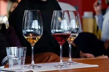 WineTasting-5-wines-on-mat-web.jpg