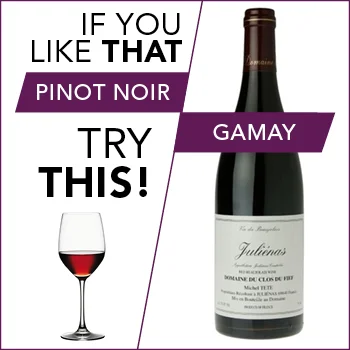 LikeThatTryThis-Pinot-.jpg