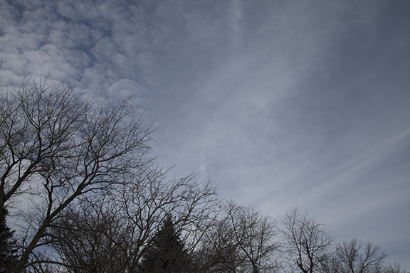 altocumulus (left) and Cirrus fall streaks, west, 12:30 p.m. cst