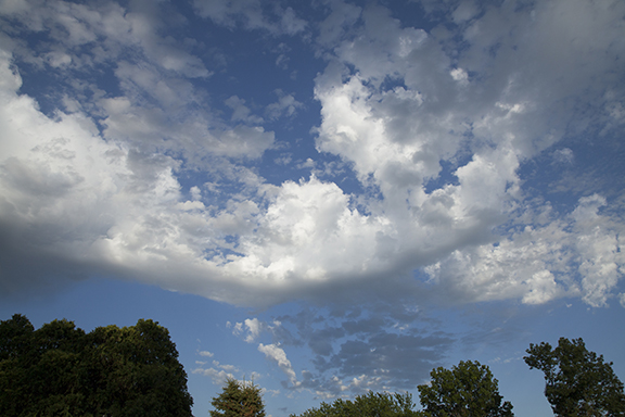 Altocumulus castellanus