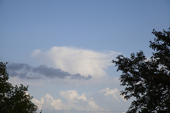 Altocumulus cumulogenitus