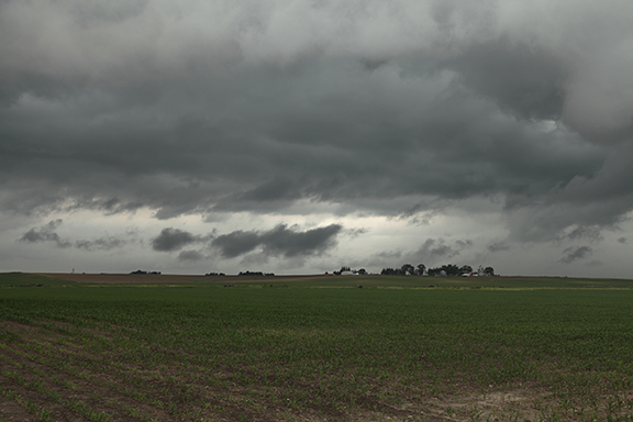 Stratus fractus under Stratocumulus