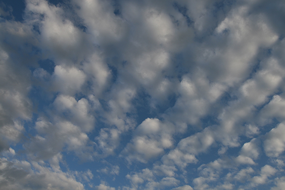 Altocumulus floccus